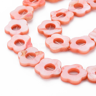 Freshwater Shell Beads Frames Strands SHEL-T009-14C-1