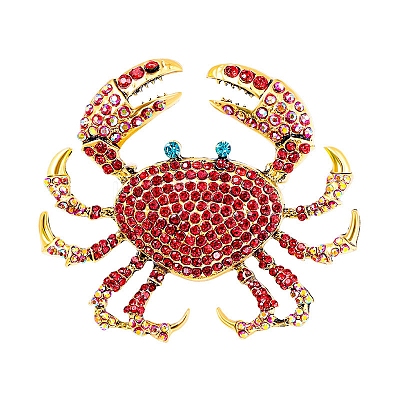 Ocean Style Alloy Rhinestone Brooch Pins for Backpack Clothes PW-WG140DD-01-1