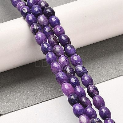 Natural Dolomite Beads Strands G-F765-A04-01-1