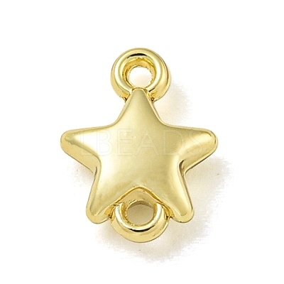 Alloy Connector Charms PALLOY-F310-01G-02-1