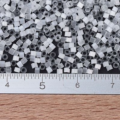 MIYUKI Delica Beads SEED-J020-DB0676-1