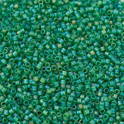 MIYUKI Delica Beads SEED-MY11-DB0858-1