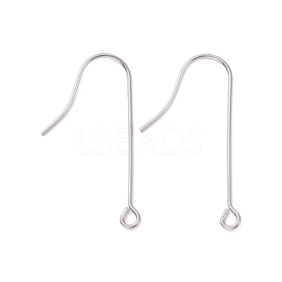 Tarnish Resistant 316 Surgical Stainless Steel Earring Hooks STAS-E027-02B-P-1