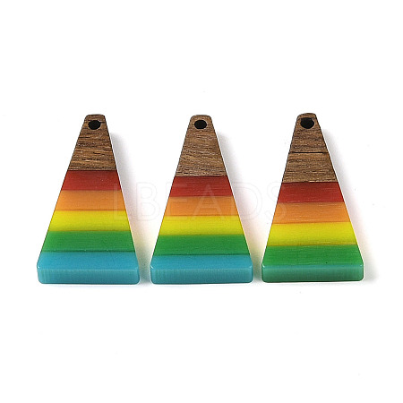 Pride Rainbow Theme Resin & Walnut Wood Pendants WOOD-K012-10C-1