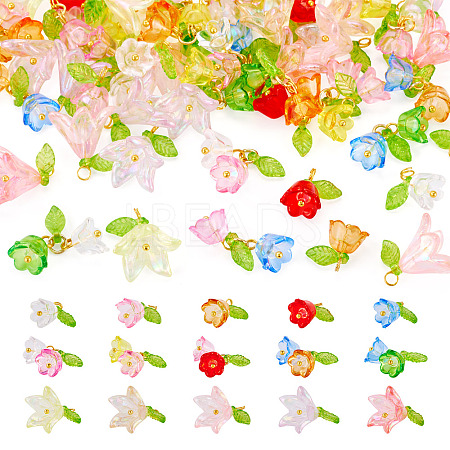 60Pcs 3 Styles Transparent Acrylic Pendants HJEW-TAC0180-1