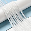 Imitate Austrian Crystal Frosted Glass Beads Strands EGLA-A039-T2mm-MD13-4