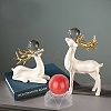 2Pcs 2 Style Natural Quartz Crystal Ball DJEW-CP0001-08-5