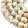 Natural Seashell Shell Beads Strands SH-CBAFEDD-01B-2