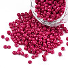 8/0 Baking Paint Glass Seed Beads SEED-R051-07B-03-4