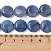Natural Blue Aventurine Beads Strands G-L648-B24-15mm-02-6