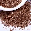 MIYUKI Delica Beads X-SEED-J020-DB1837-1