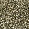 TOHO Round Seed Beads SEED-JPTR08-0369-2