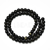 Natural Golden Sheen Obsidian Strands Beads G-R485-09-6mm-2