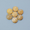 Natural Topaz Jade Cabochons G-P393-R35-12mm-3