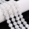 Natural Rainbow Moonstone Beads Strands G-S345-10mm-36-1