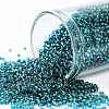 TOHO Round Seed Beads X-SEED-TR15-0027BD-1