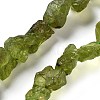 Raw Rough Natural Peridot Beads Strands G-P528-B05-02-1