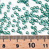 11/0 Grade A Transparent Glass Seed Beads X-SEED-Q007-F51-3
