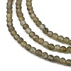 Natural Labradorite Beads Strands G-M438-A01-02-3