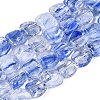 Handmade Lampwork Beads Strands LA-N046-01D-1