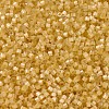 MIYUKI Delica Beads X-SEED-J020-DB1801-3