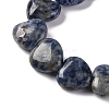 Natural Blue Spot Jasper Beads Strands G-I372-A13-02-4