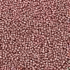12/0 Glass Seed Beads X-SEED-A017-2mm-1108-2