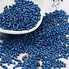 Baking Paint Glass Seed Beads SEED-S042-05B-75-1