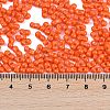 Baking Paint Glass Seed Beads X1-SEED-K010-A10-4