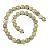 Natural Alashan Agate Beads Strands G-F812-B02-02-4