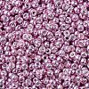 MIYUKI Round Rocailles Beads SEED-JP0008-RR1061-2