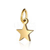 201 Stainless Steel Charms STAS-S105-T554D-6-2-1