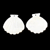 Natural Freshwater Shell Big Pendants SHEL-K006-05-3