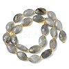 Natural Labradorite Beads Strands G-A295-A01-01-3