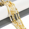 Natural Trochus Shell Beads Strands BSHE-H109-12B-2