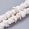 Natural Sea Shell Beads Strands X-BSHE-K012-08E-1