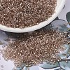 MIYUKI Delica Beads X-SEED-J020-DB2373-1