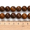 Natural Miriam Stone Beads Strands G-G0003-C05-12mm-5