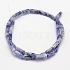 Natural Blue Spot Jasper Column Beads Strands X-G-F247-02-2