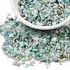 Natural Amazonite Chip Beads X-G-O103-08-3
