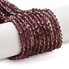 Imitation Austrian Crystal 5301 Bicone Beads GLAA-S026-3mm-05-2