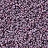 MIYUKI Delica Beads X-SEED-J020-DB1066-3