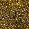 TOHO Round Seed Beads SEED-JPTR08-2155S-2