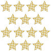 20Pcs Polyester Clothing Patches DIY-CY0002-35C-1