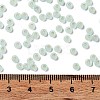 8/0 Glass Seed Beads SEED-Z001-C-E05-4