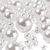 1700Pcs ABS Plastic Imitation Pearl Beads KY-LS0001-19-3