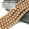 Eco-Friendly Dyed  Glass Pearl Round Beads Strands HY-A002-8mm-RB045-2
