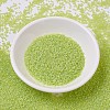 MIYUKI Delica Beads SEED-MY11-DB0860-2