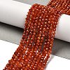 Natural South Red Agate Beads Strands G-Z074-A02-01A-1
