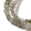 Natural Labradorite Beads Strands G-G085-B25-01-3